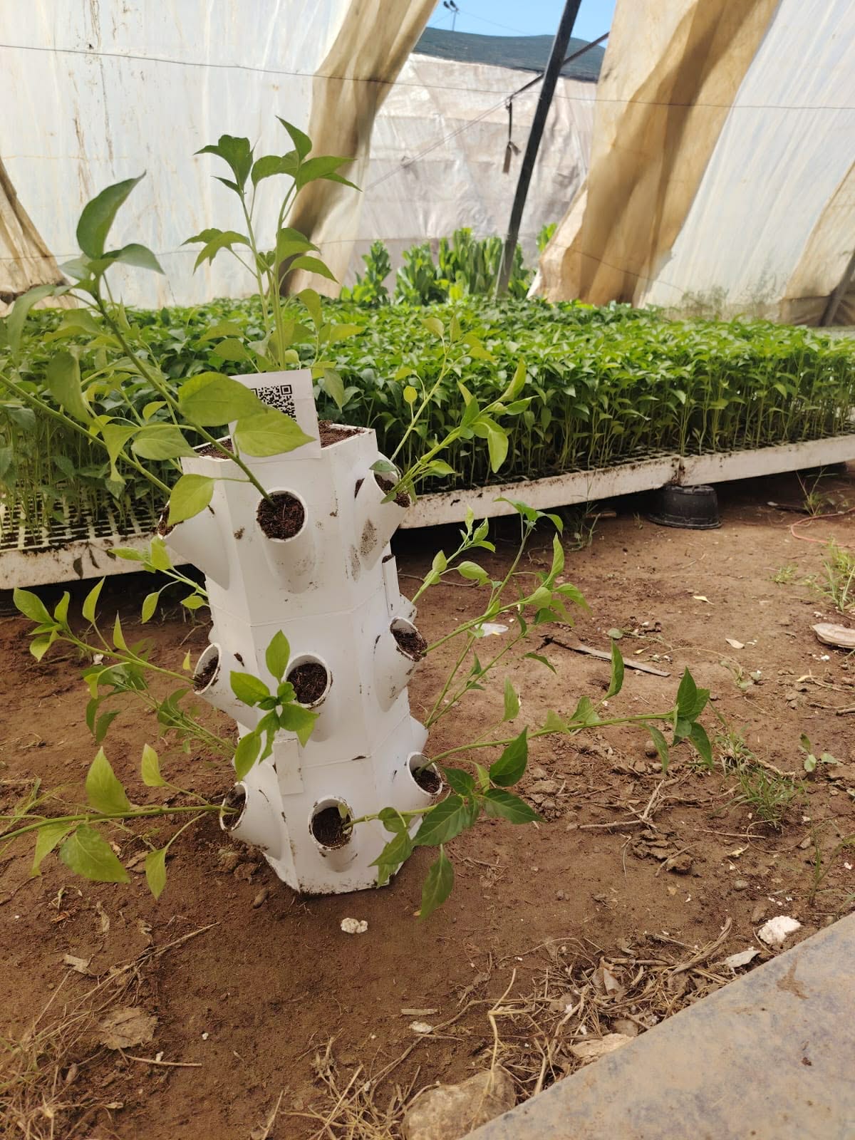 Smart Vertical Farming